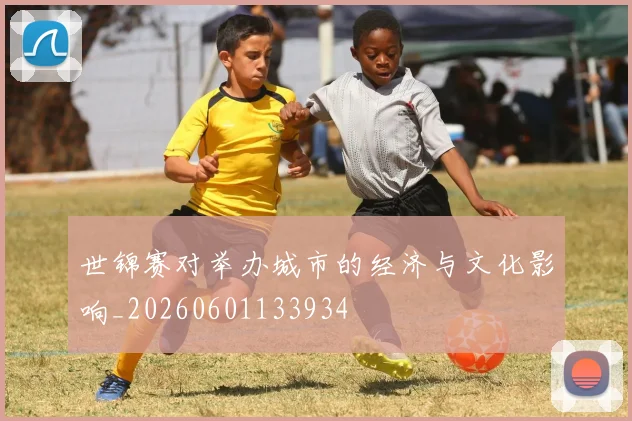 世锦赛对举办城市的经济与文化影响_20260601133934