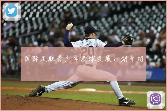国际足联青少年足球发展计划介绍