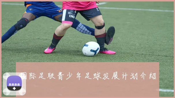 国际足联青少年足球发展计划介绍